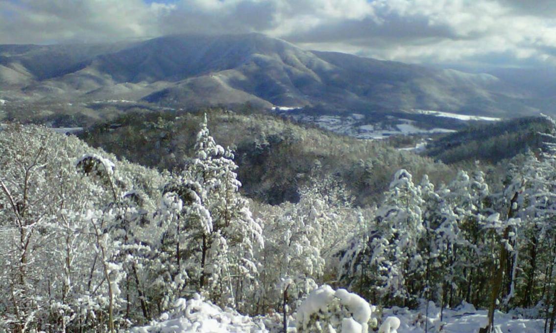 Jacksons Cabin Sevierville Eksteriør bilde